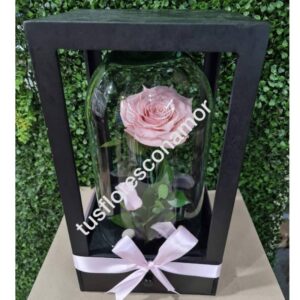 Estuche con rosa eterna