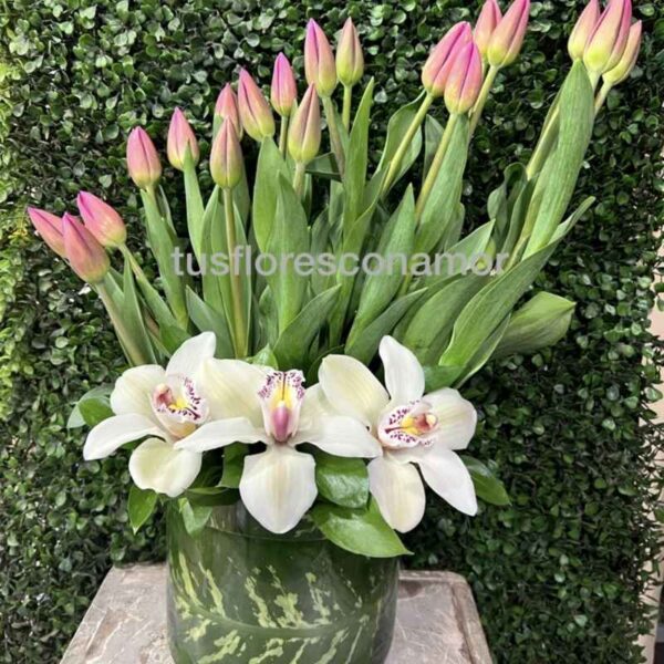Tulipanes y orquídeas para ella.