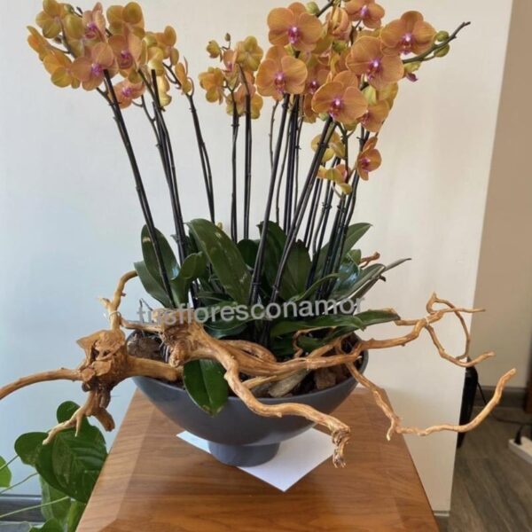 Jardín de orquídeas amarillas 2.