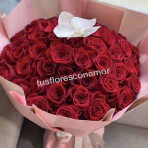 Amo las rosas